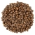 Kawa ziarnista Gwatemala Maragogype 250g